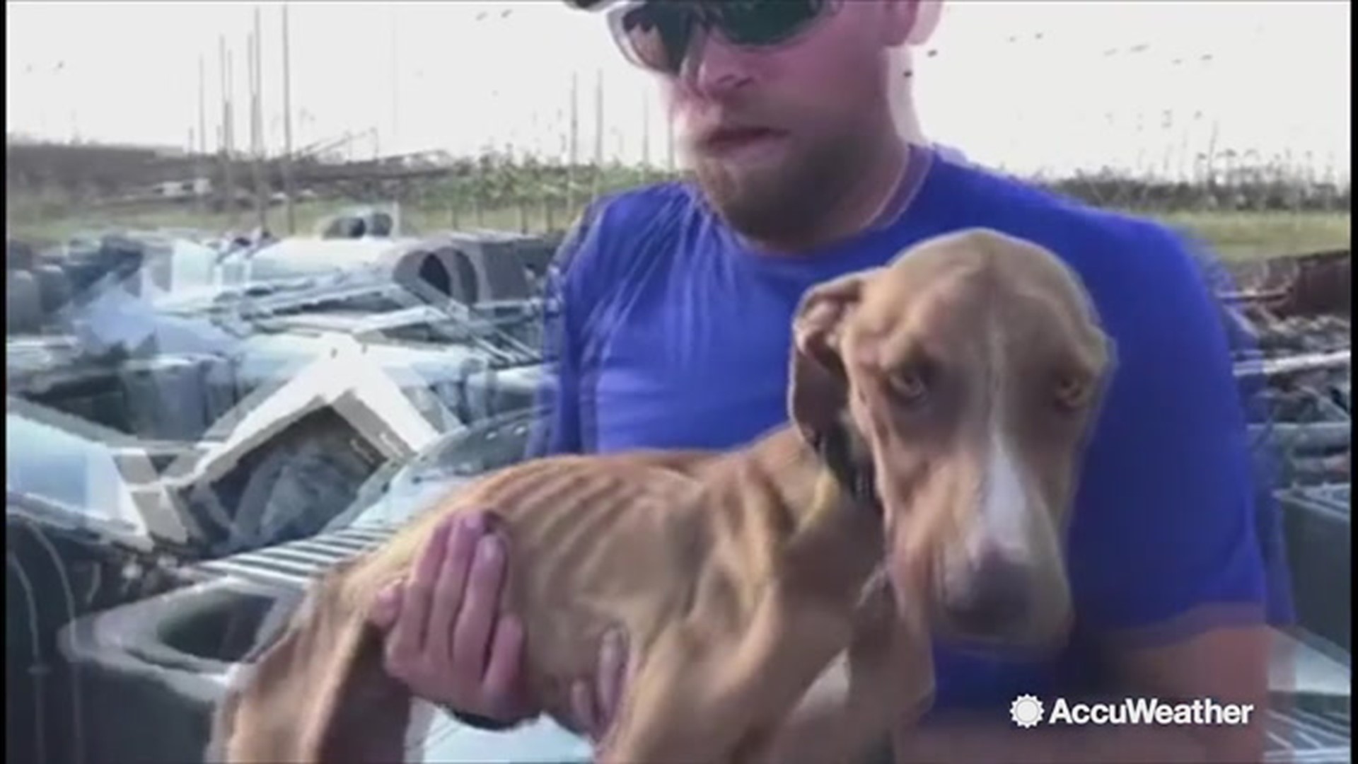The images of an emaciated dog being carried away after spending nearly a month trapped in rubble after Hurricane Dorian are hard to forget. Now, the dog called 'Miracle' has found a new home.