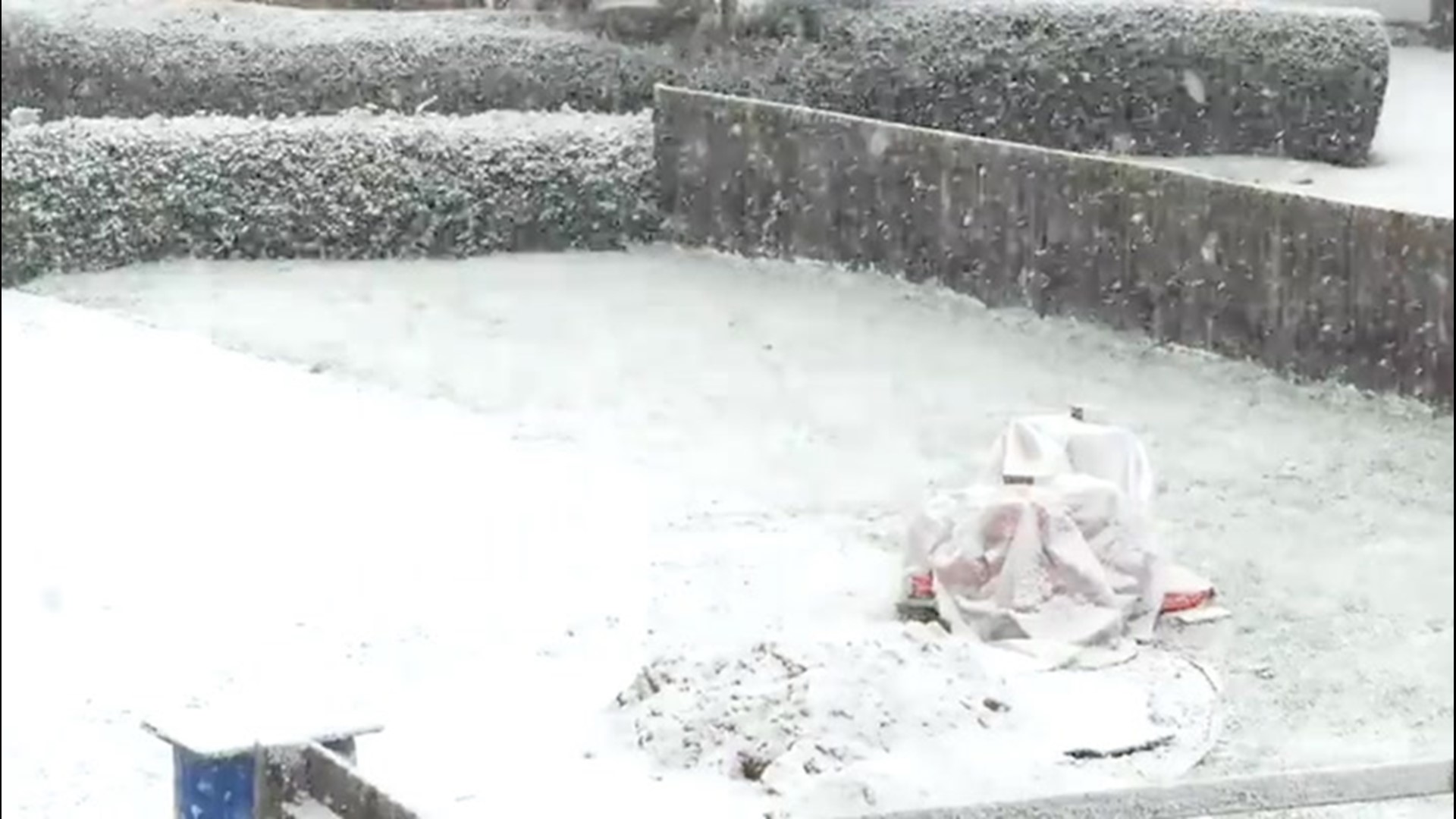 Time-lapse footage captured a snow storm as it moved through Bedford, England, on Jan. 24