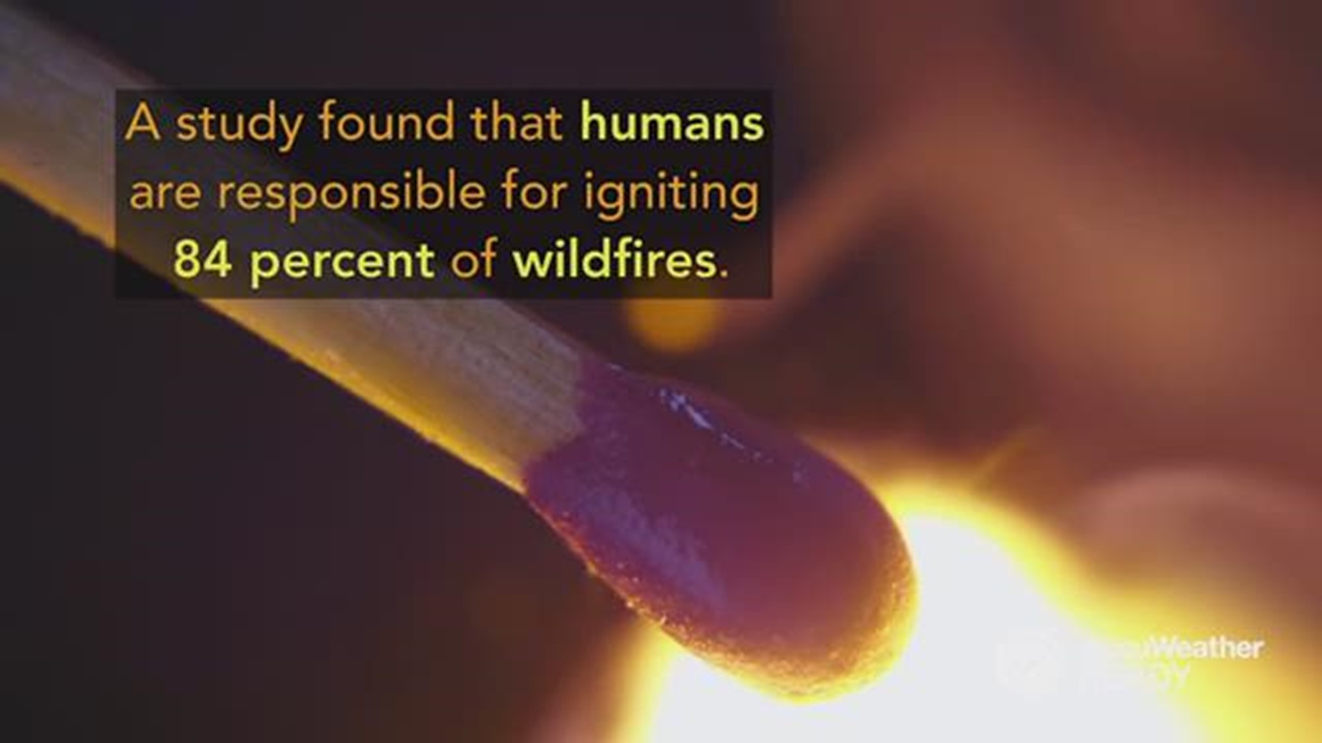 A study found that humans are responsible for igniting 84 percent of wildfires. Here's what you can do to prevent one from starting.