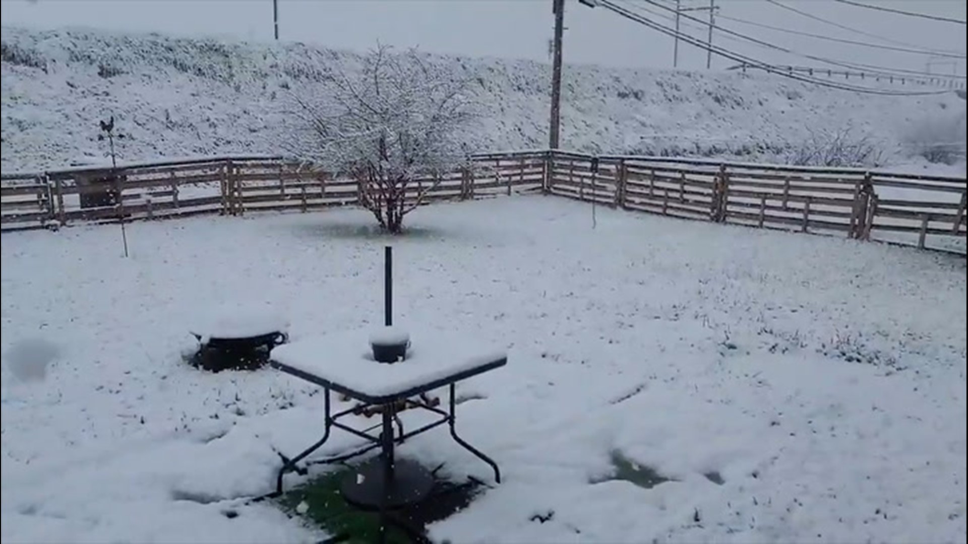 Heavy snow fell on a chilly spring morning in Cheyenne, Wyoming, on Monday, May 10.