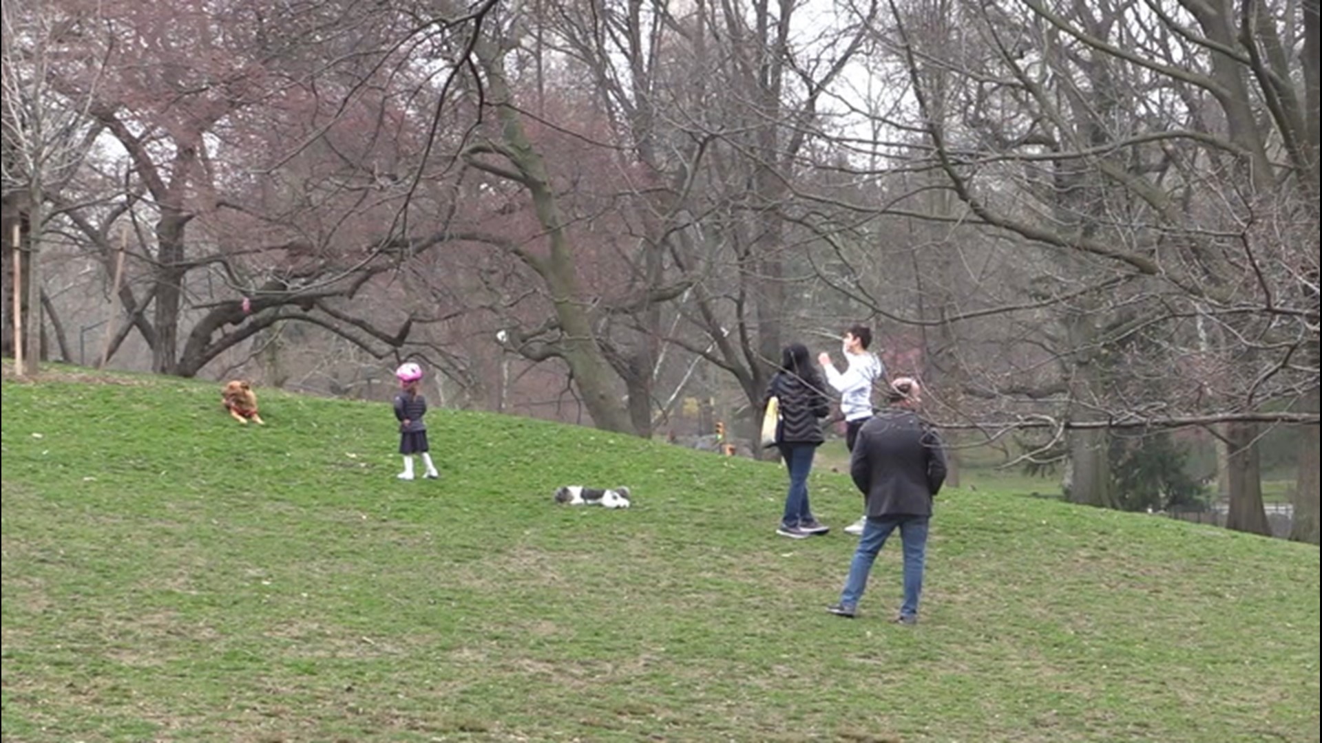 The importance of parks during coronavirus pandemic
