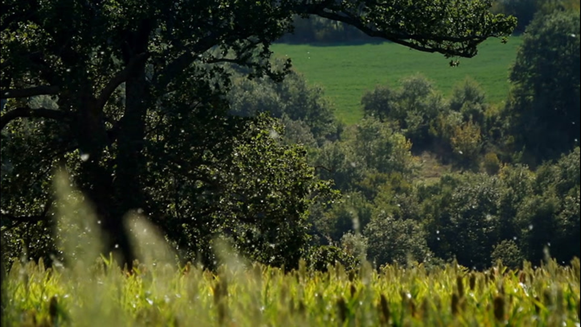 As different pollen counts in different regions of the US soar throughout the spring and into the summer, those who suffer from allergies are in for a particularly nasty season.