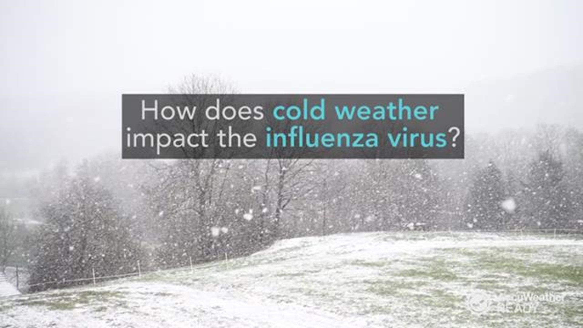 Have you ever wondered just how cold conditions can impact your likelihood of catching influenza? Experts say it's not the chilly weather itself that can make you sick.