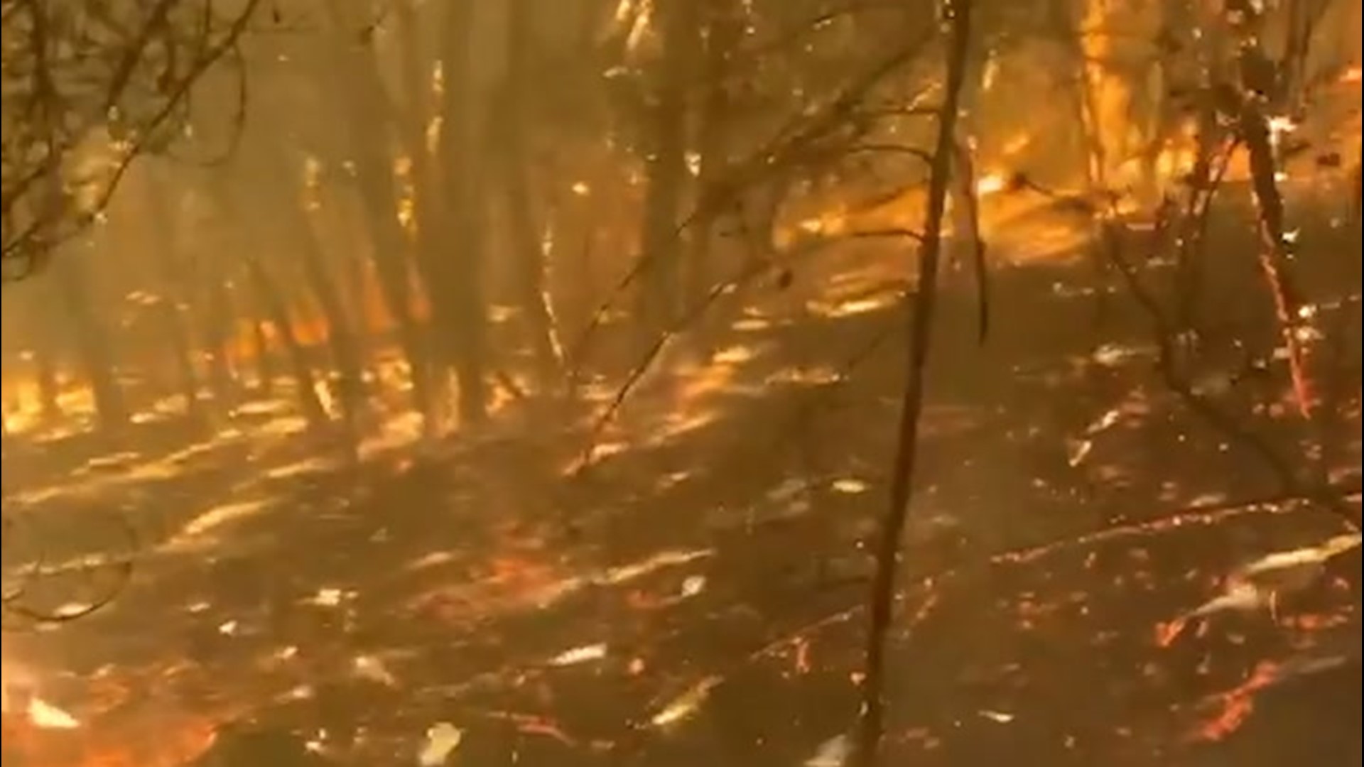 Firefighters with the Oxnard Fire Department recorded the intense moments as they drove through the Glass Fire in Santa Rosa, California, on Sept. 29. The fire has scorched tens of thousands of acres and forced more than 70,000 people to evacuate.