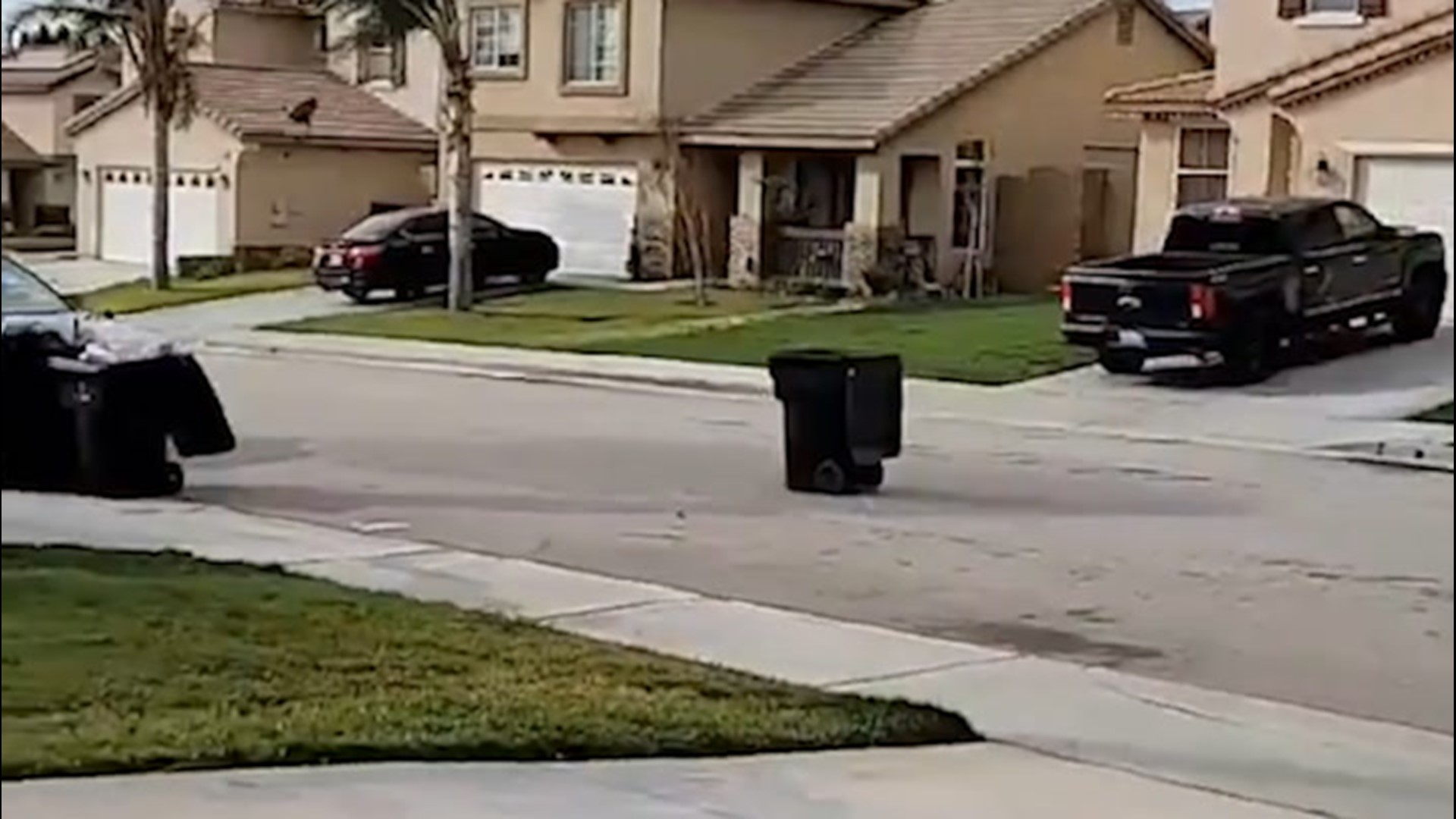As heavy winds blew across Southern California on Jan. 21, Holly Henning watched as a neighbor's trash can seemed to roll down their street of its own accord.