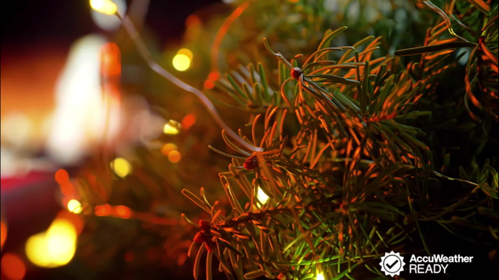 Christmas trees are a holiday staple in many homes, but they can pose a fire hazard if not handled properly. Follow these tips to keep your holidays from going up in flames.