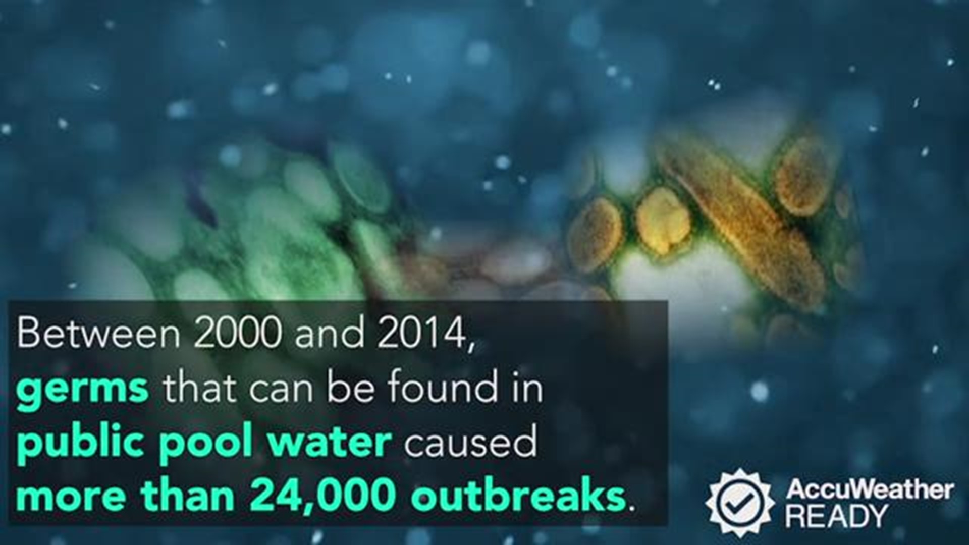 Pool Contamination How to swim healthier and safer in public pools | 11alive.com