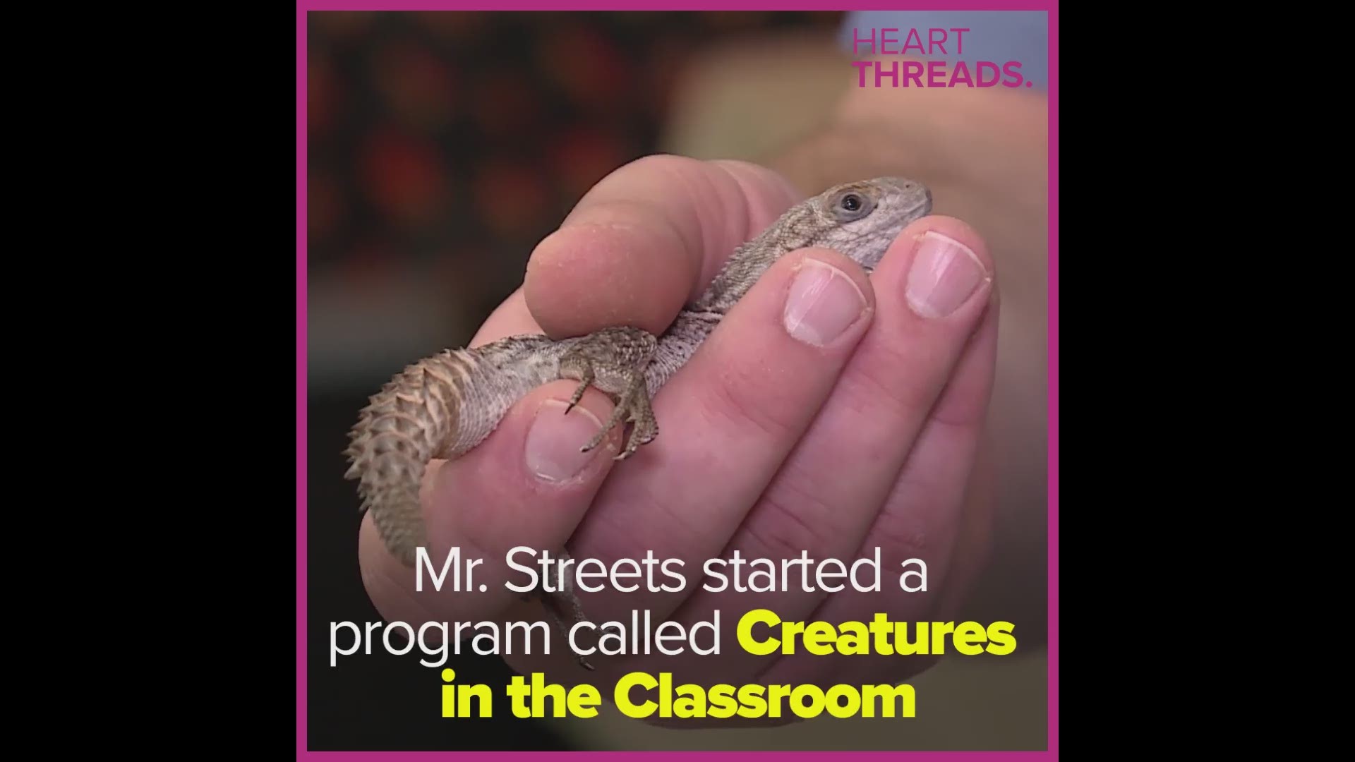 Mr. Streets used his own money to buy animals for the classroom to teach his special ed students about responsibility and empathy.