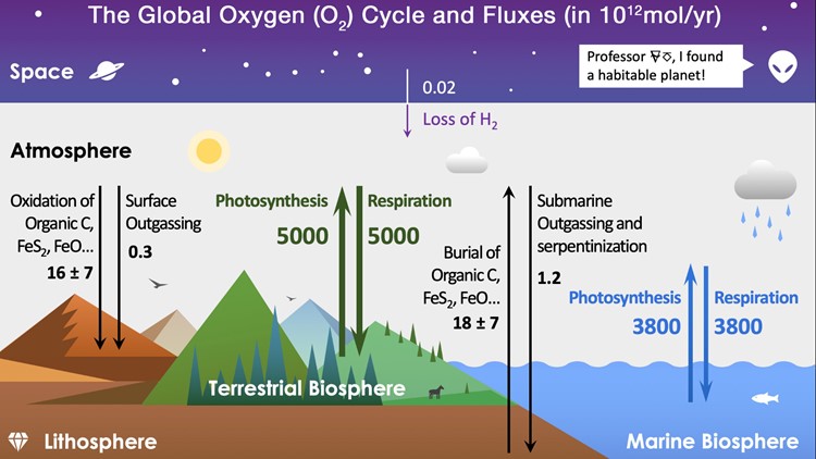 How Do You Spell Oxygen >> Verify Is The Amazon Forest Responsible For 20 Of The How Do You Spell Oxygen >> Verify Is The Amazon Forest Responsible For 20 Of The