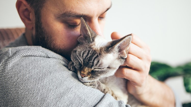 FDA approves new drug for cats that may improve their quality of life