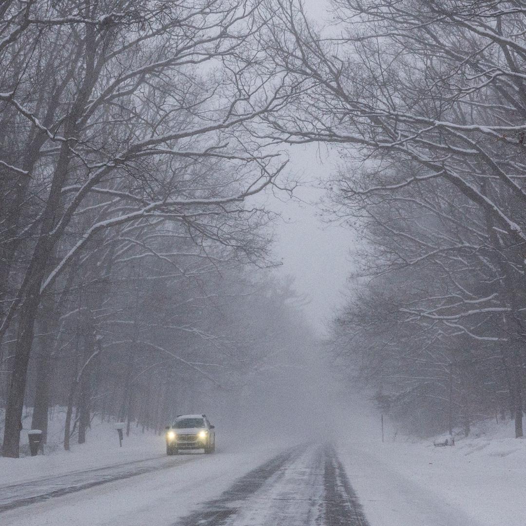 Can trees 'explode' during winter weather? | 11alive.com