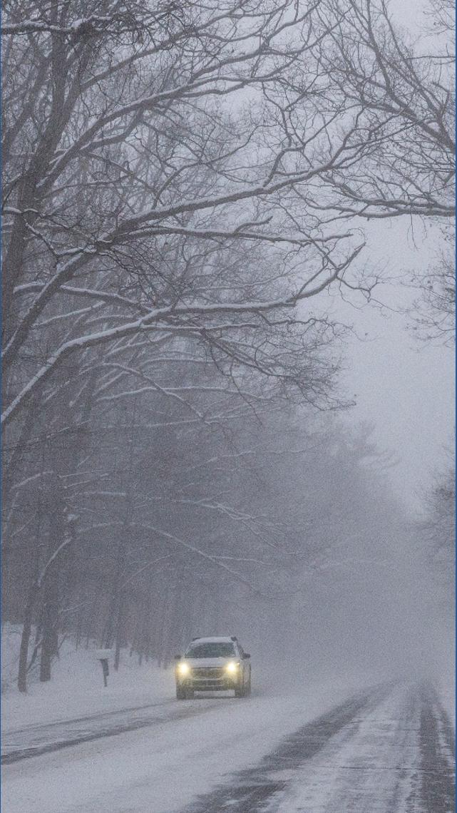 Can trees 'explode' during winter weather? | 11alive.com