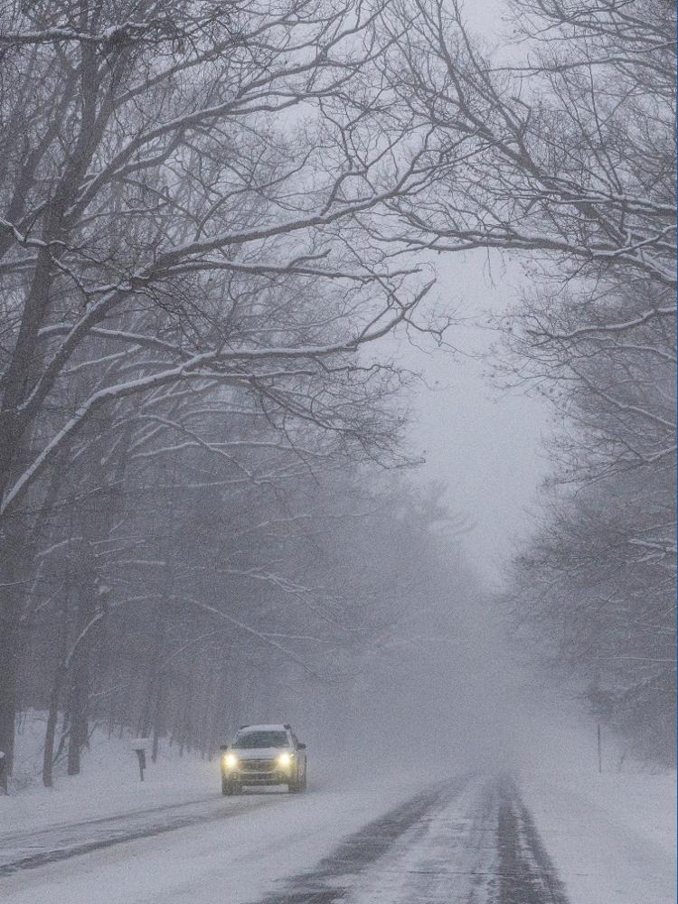 Can trees 'explode' during winter weather? | 11alive.com