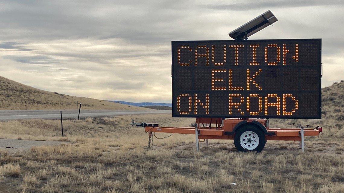 Wyoming roadkill app helps collect mule deer data - Vimarsana News