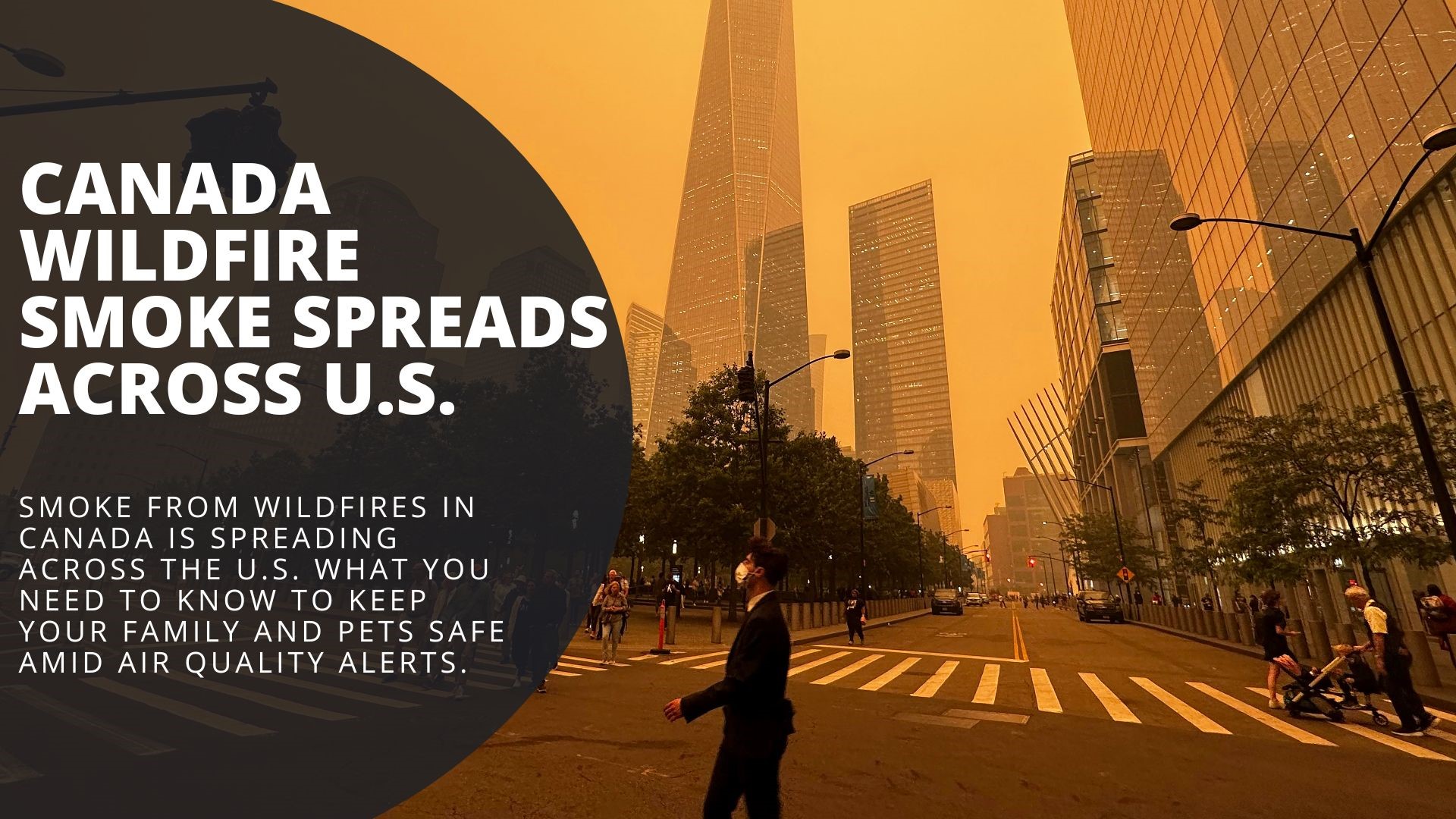 Smoke from wildfires in Canada is spreading across the U.S. What you need to know to keep your family and pets safe amid air quality alerts.