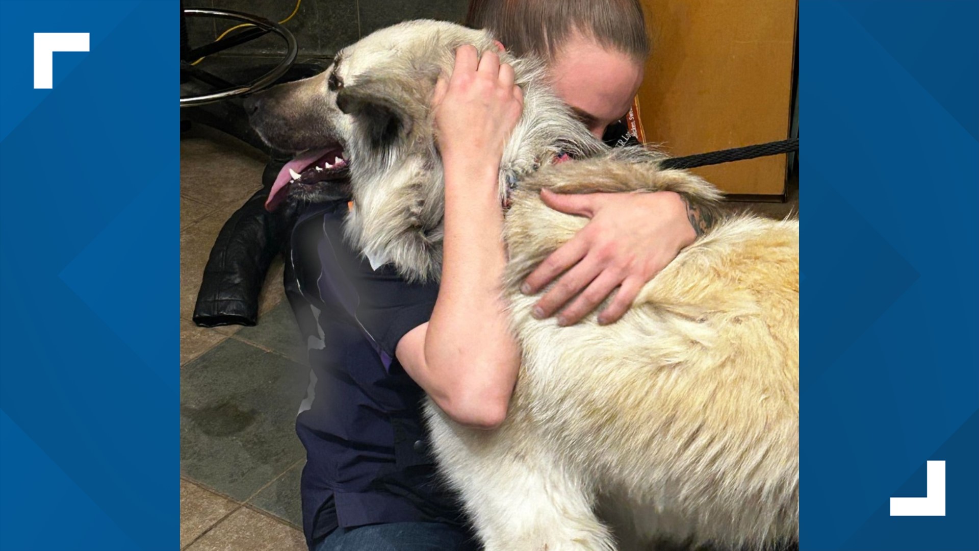 Tennessee animal shelter reunites homeless woman, dog