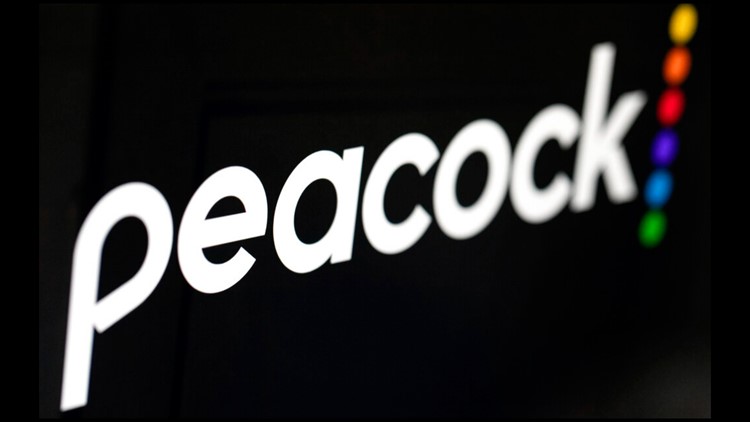 Peacock to exclusively carry NFL playoff game next January