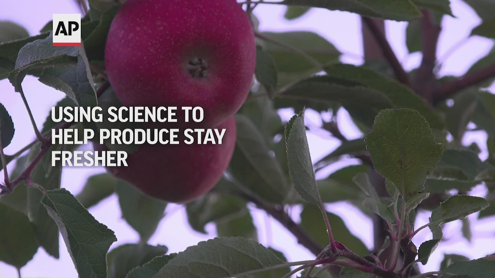 Companies are using eco-friendly science to try to keep produce fresher — and prevent food waste.