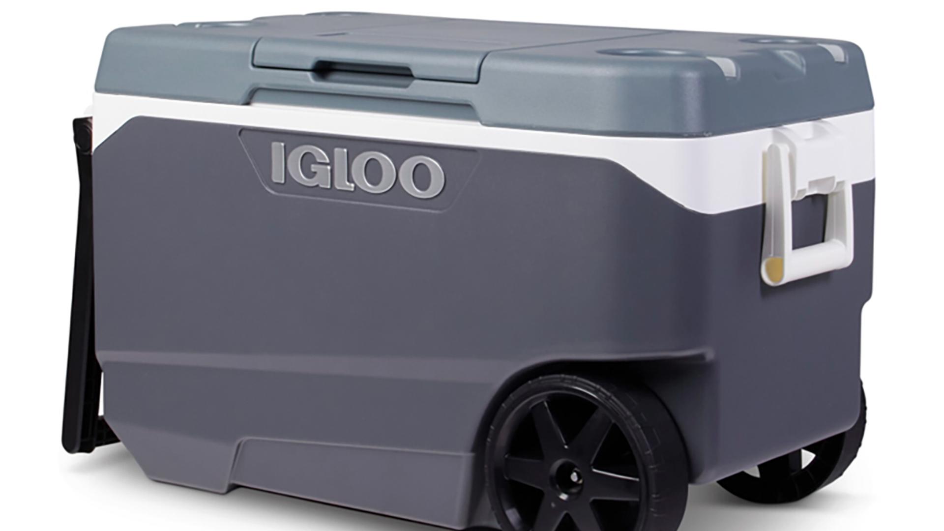 Igloo cooler recall What to know