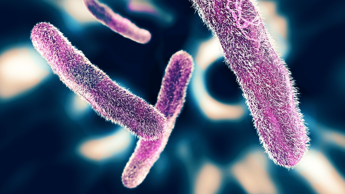 CDC warns drug-resistant Shigella bacteria cases increasing | 11alive.com