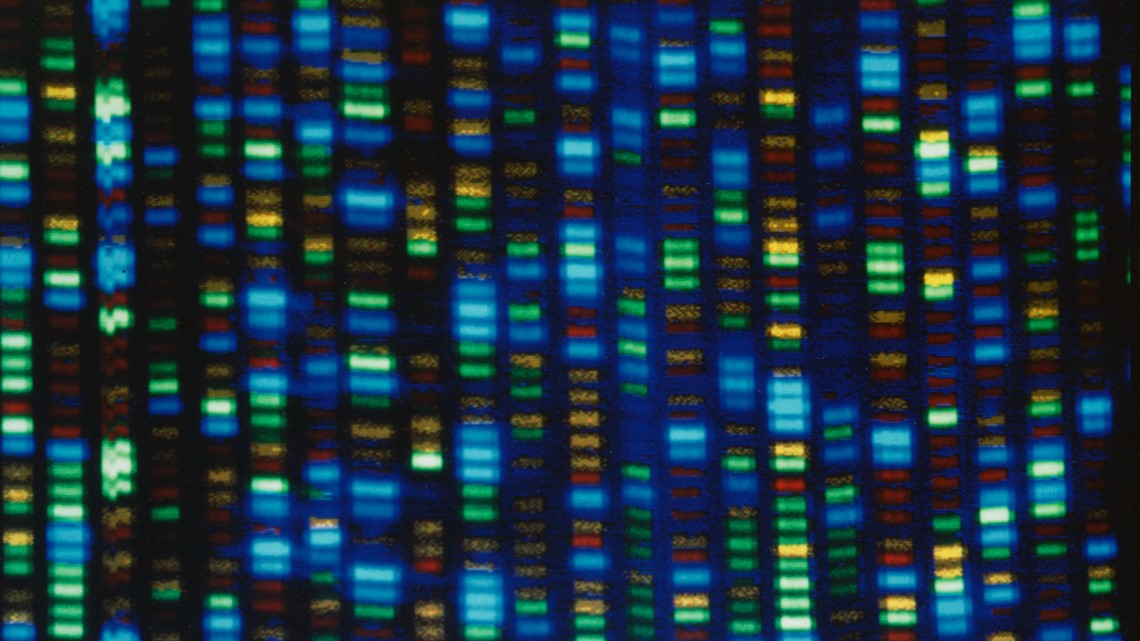 Human genome decoded fully | 11alive.com - Vimarsana News