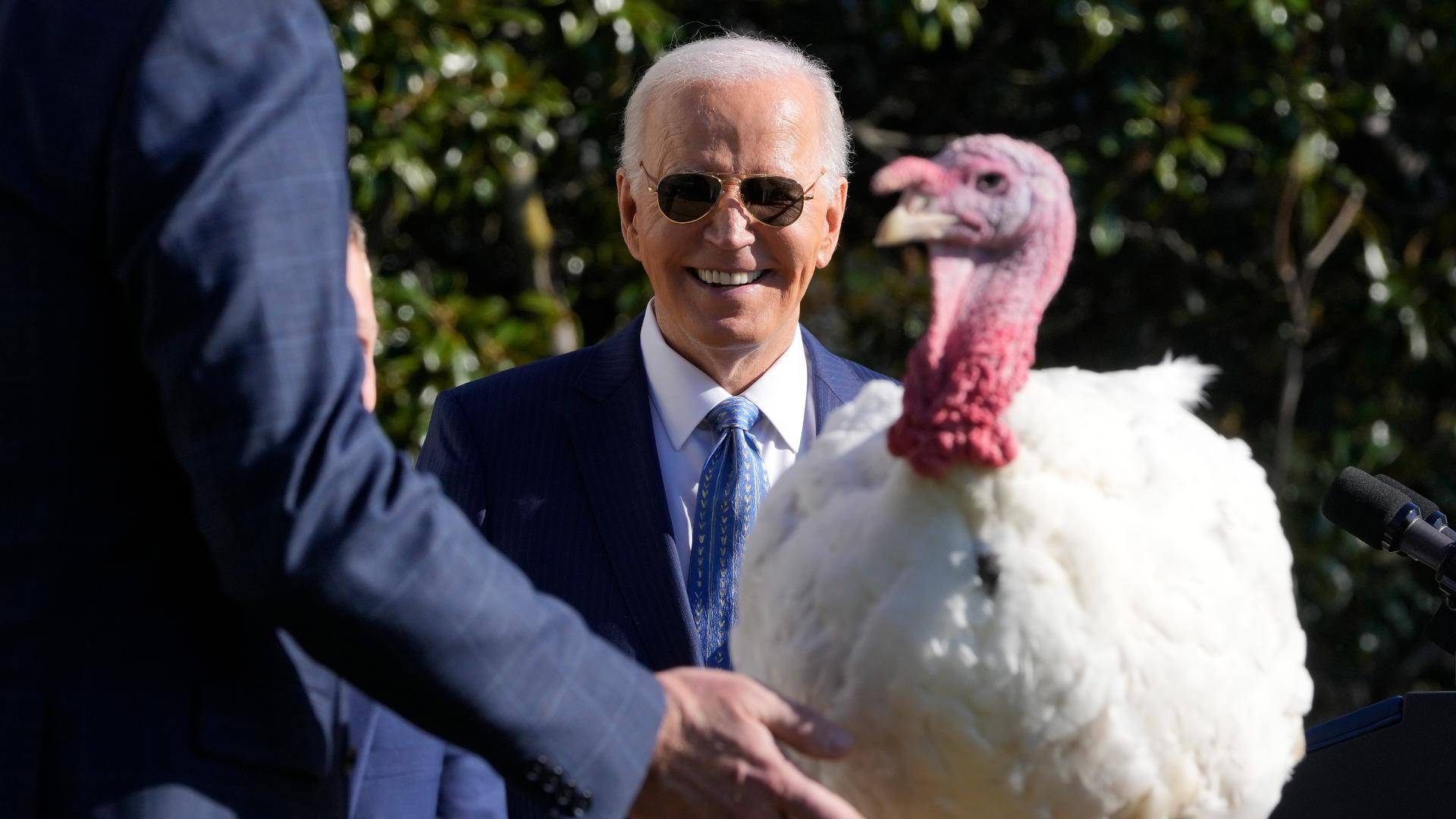 Biden pardons turkeys 'Peach' and 'Blossom' in traditional ceremony