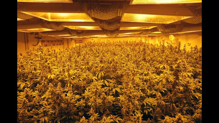 marijuana and xxx pic Enema for pleasure for man