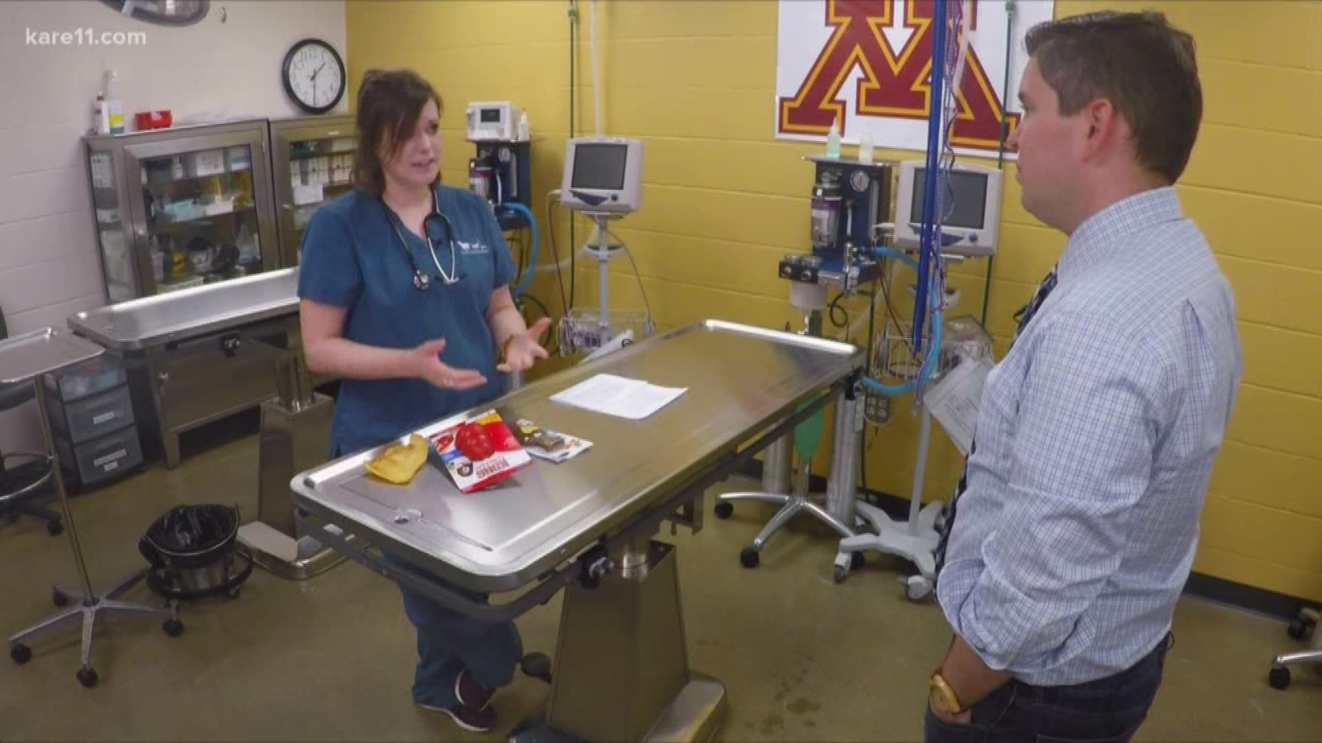 Normally you'd think of salmonella being a problem here in the kitchen with food we eat, but the CDC says you need to check your dog treats. Gordon Severson is here with the details of an outbreak involving pig's ears.