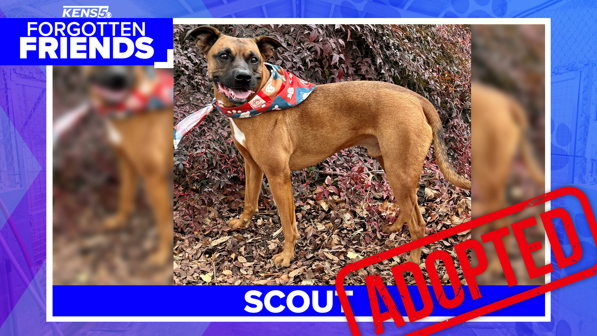 There wasn't a dry eye in the house when he left the Kerrville shelter.