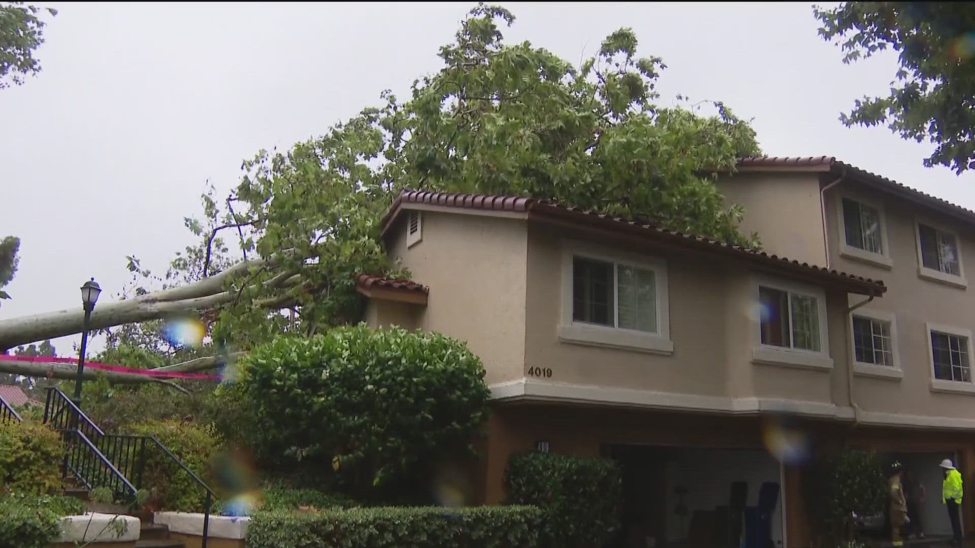 Thirteen people experiencing homelessness were rescued along the San Diego River while others were displaced after a large tree fell on their home.