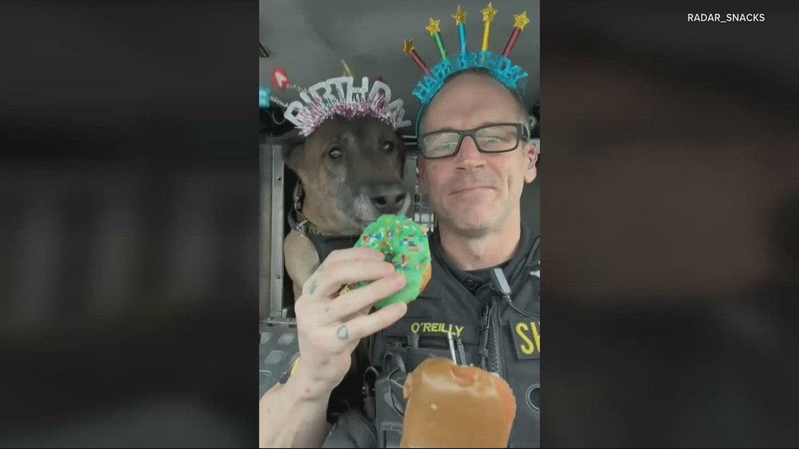 Washington County K9 finds fame on social media - Vimarsana News
