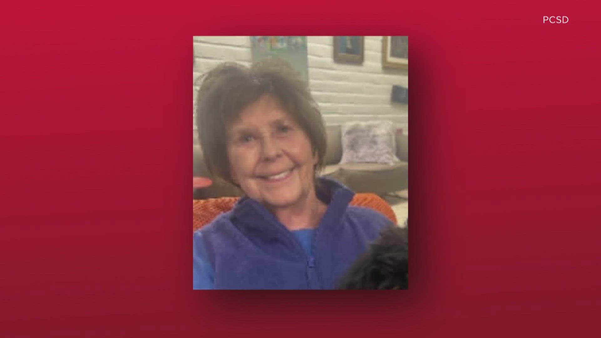 'TODAY' host Savannah Guthrie issues first statement after ...