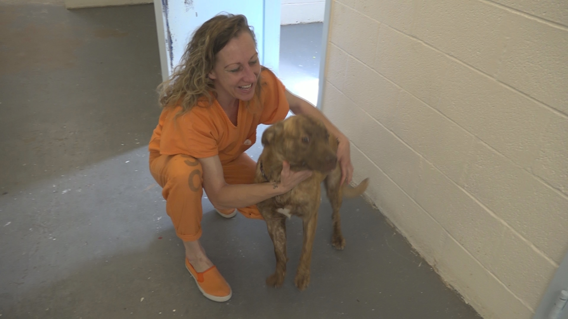 Inmates care for dogs in Navajo County jail | 11alive.com