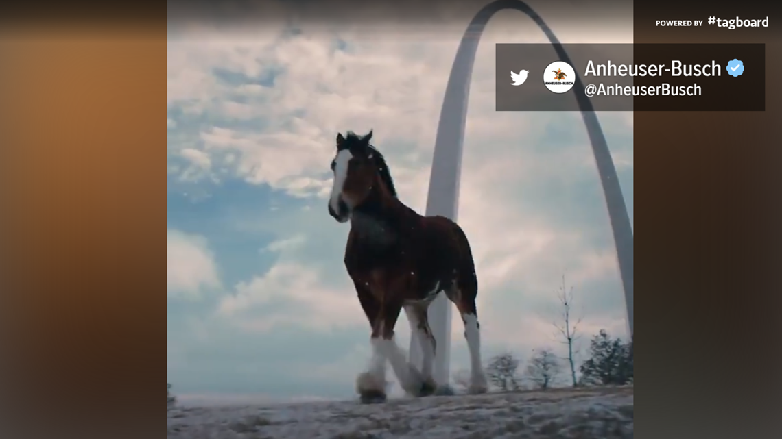 Clydesdales New AnheuserBusch ad