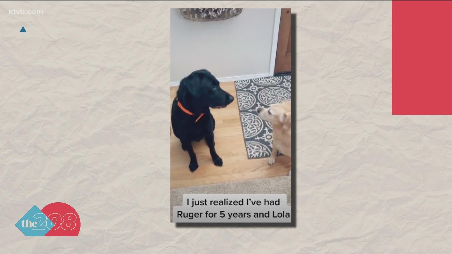 Boise dog mom Taylor shared a video of herself telling her dogs her name on the video creation app TikTok. It's been viewed more than 16 million times in 48 hours.