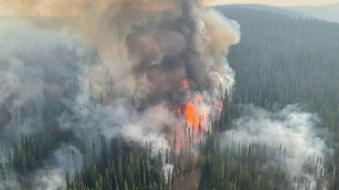 Moose Fire in Idaho burns over 159 square miles - Vimarsana News