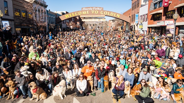 Thousands of golden retrievers gather in Golden, Colorado