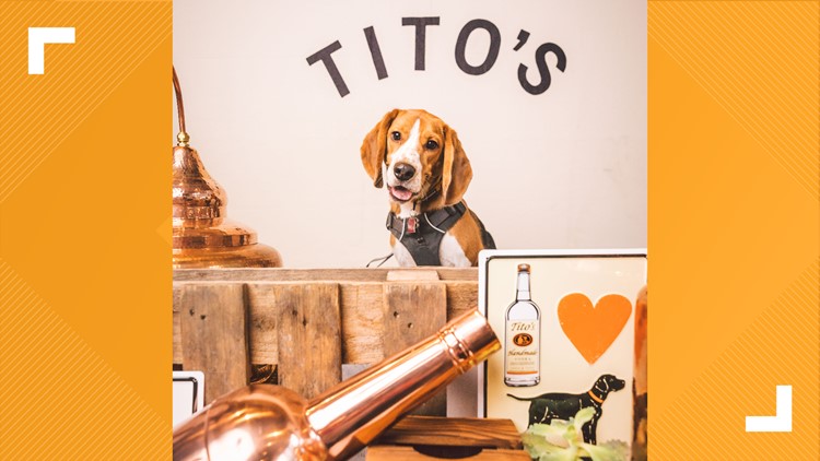 To celebrate its 25th anniversary, Tito's invited all dogs named Tito to a mixer