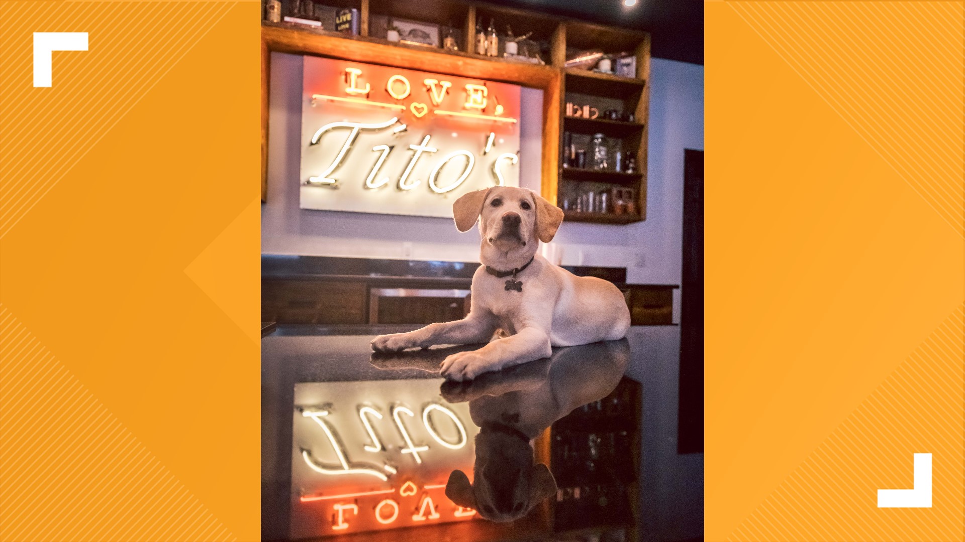 To celebrate its 25th anniversary, Tito's invited all dogs named Tito