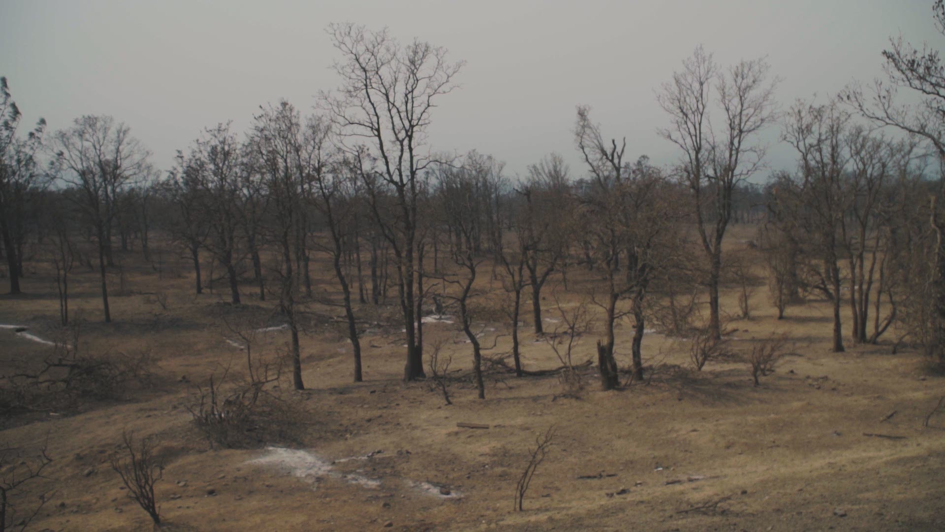 Deadly fire tornado swept over firefighter, bulldozer operator, report ...
