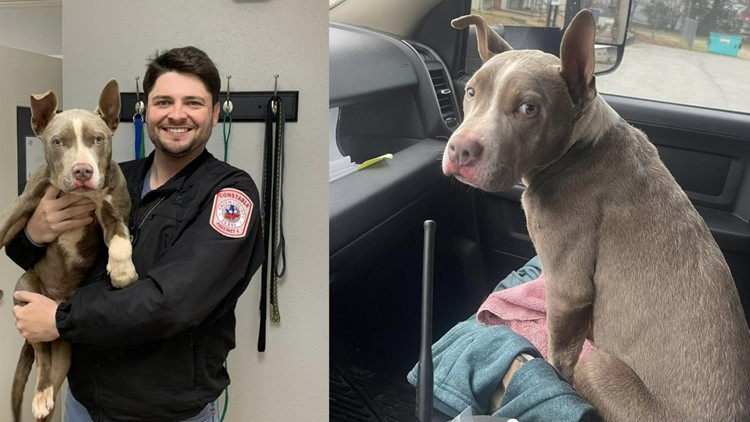 Texas constable rescues dog found on side of road with only a blanket