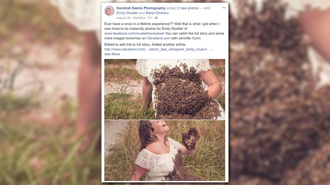 Ohio woman whose bee maternity shoot went viral suffers stillbirth