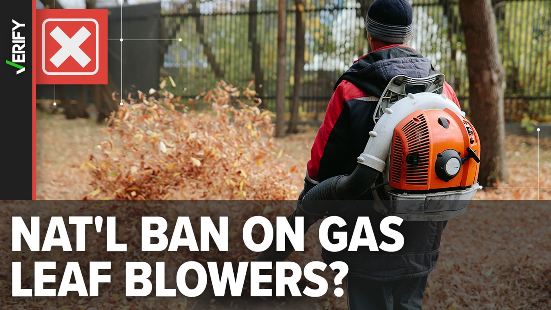 No federal ban on gaspowered leaf blowers