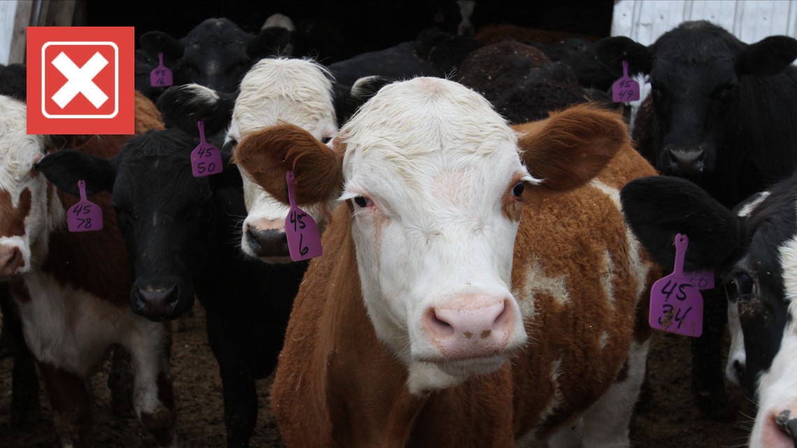 mRNA vaccines are not being added to the U.S. food supply - Vimarsana News