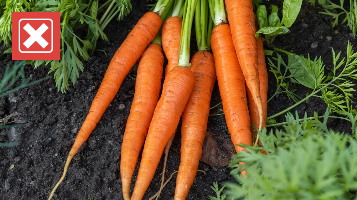 Carrots won't improve vision, but are good for eye health