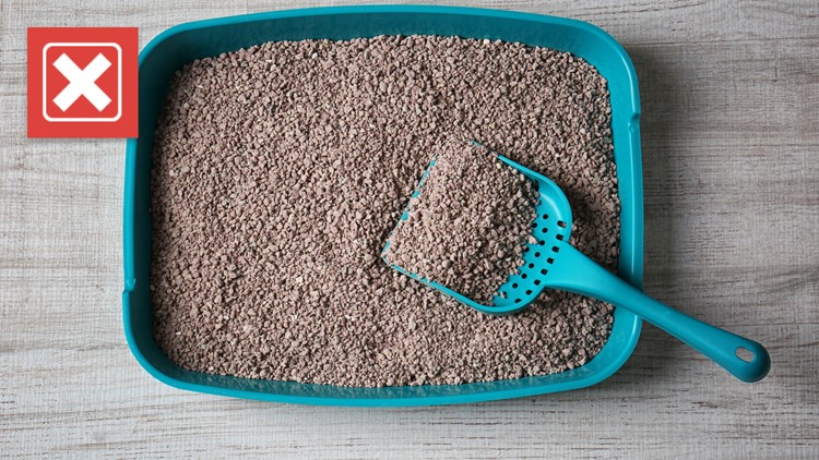 There’s never been evidence of a school providing litter boxes for students ‘identifying as cats.’ Here’s how the rumor started