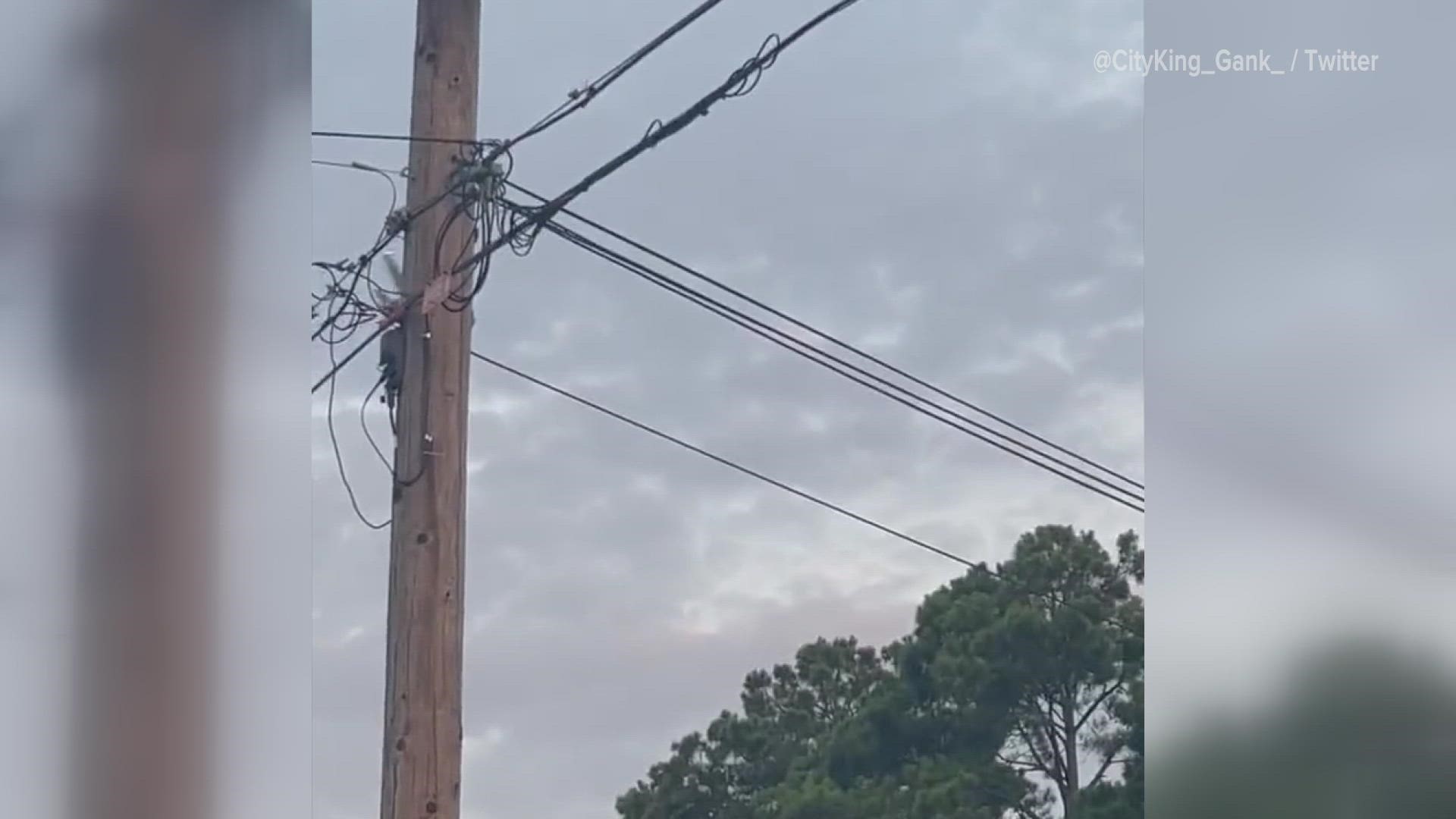 The pilot reportedly called 911 and threatened to crash into the Walmart in Tupelo, before heading north and circling over Ripley and Falkner.