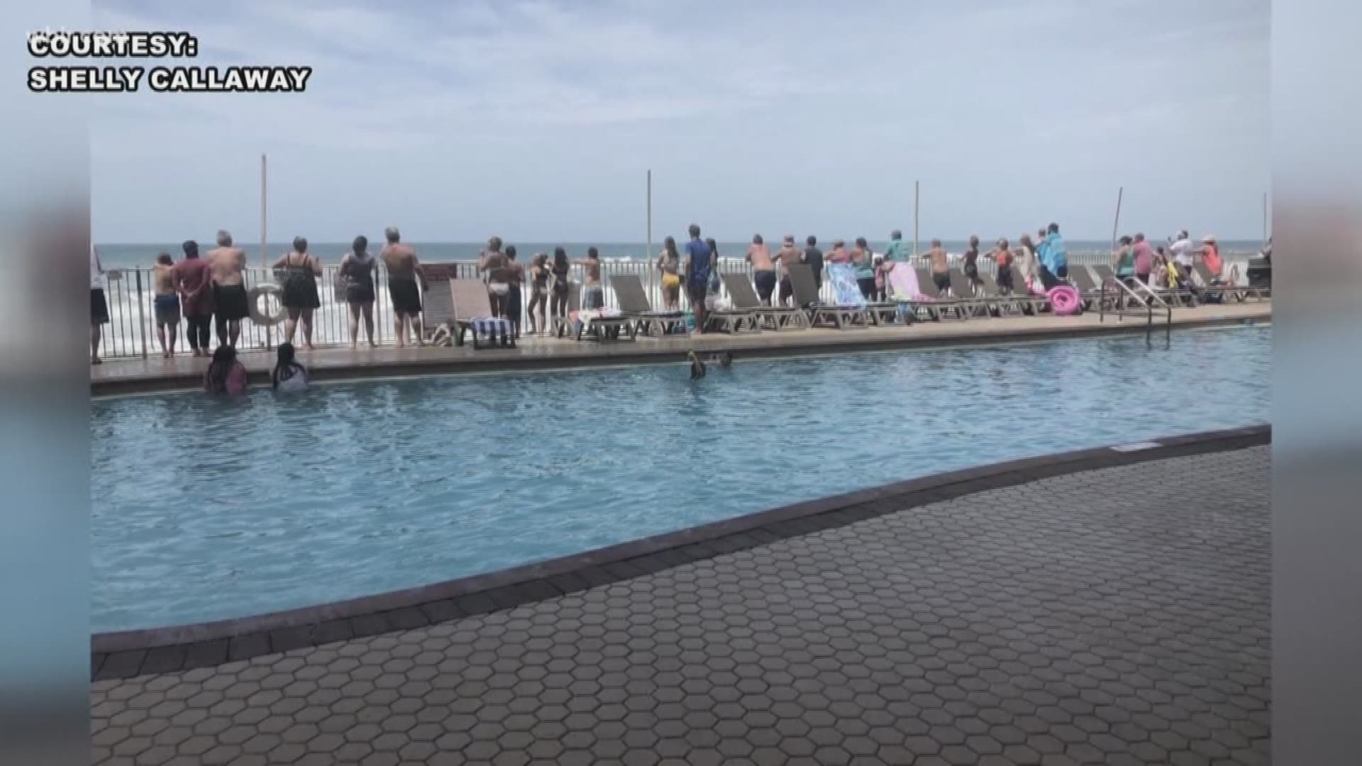 Dozens locked arms, creating a human chain to save two swimmers caught in rip currents at Panama City Beach over the weekend. An East Tennessee man said no one knew each other, but they worked together quickly to save lives.