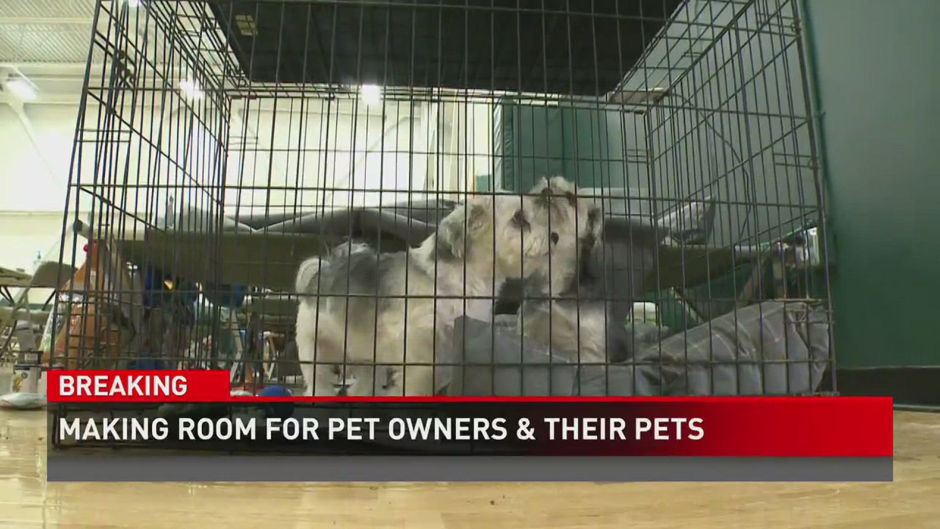 Making room for pet owners their pets