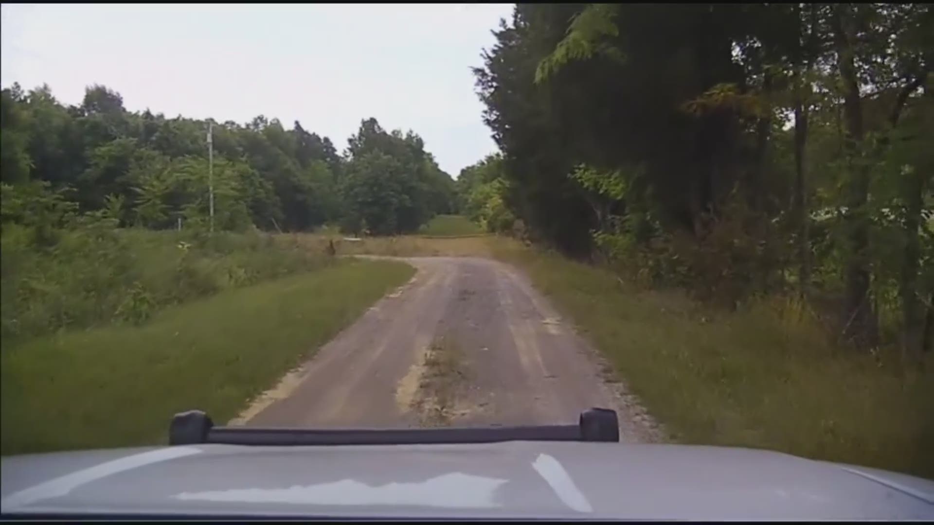 Tennessee deputy saves sleeping couple from rattlesnake